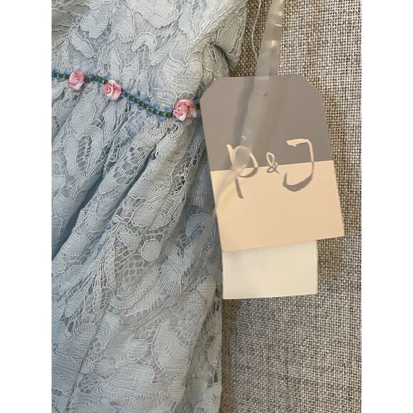 Pippa & Julie Dress Size 6X Light Blue Ivory Lace Tulle Lined Holiday Fancy NEW - Picture 4 of 9